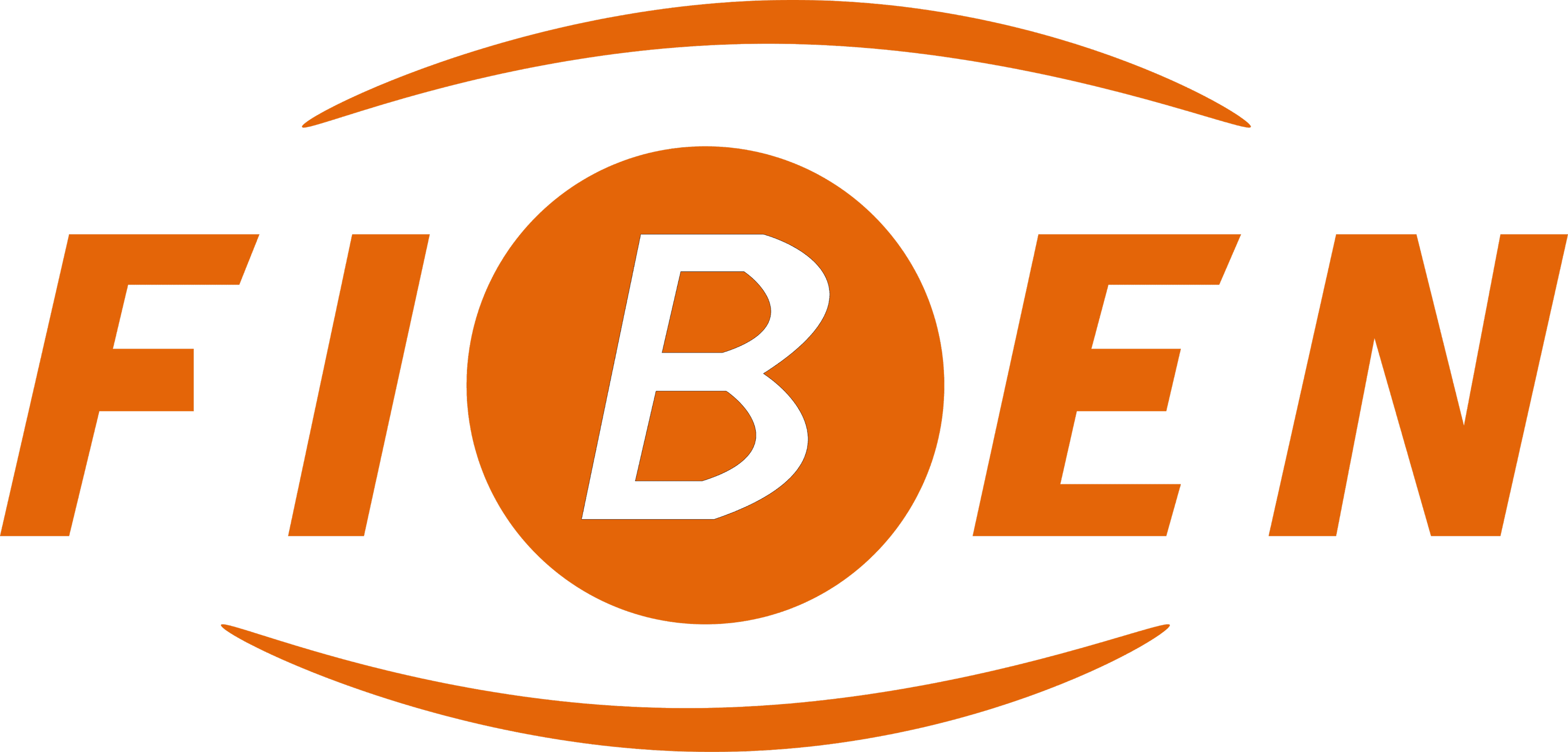Logo FIBEN